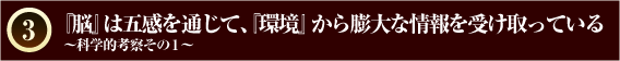 『脳』は五感を通じて、『環境』から膨大な情報を受け取っている