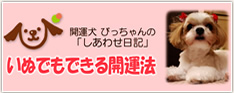 かいうん犬　ビッちゃんの「しあわせ日記」