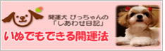 いぬでもできる開運法