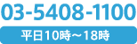 03-5408-1100 平日10時～18時